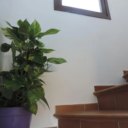 Ferienhaus Casa Ana Macharaviaya